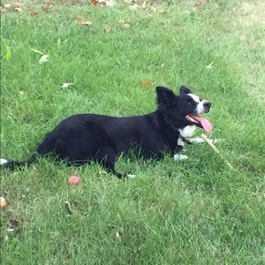 Meet your Posher, Constance